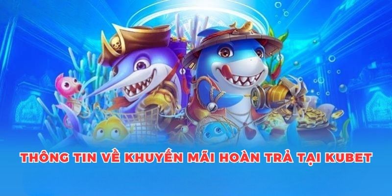 Thông tin chi tiết về khuyến mãi hoàn trả tại Kubet